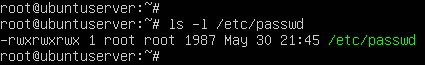terminal command execution