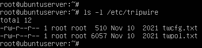 terminal command execution