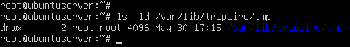 terminal command execution
