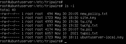 terminal command execution