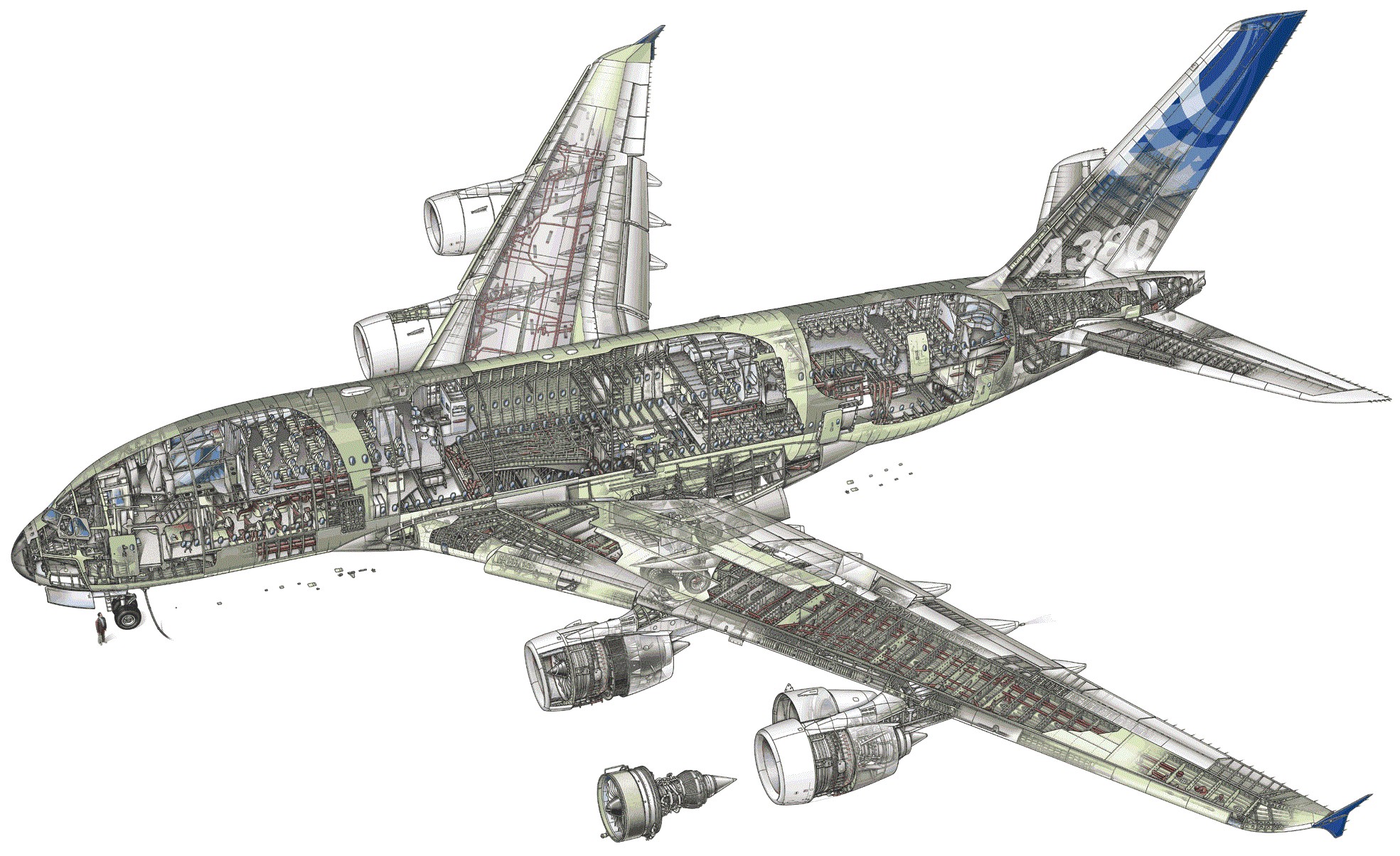 A cross sectional illustration of an Airbus A380.