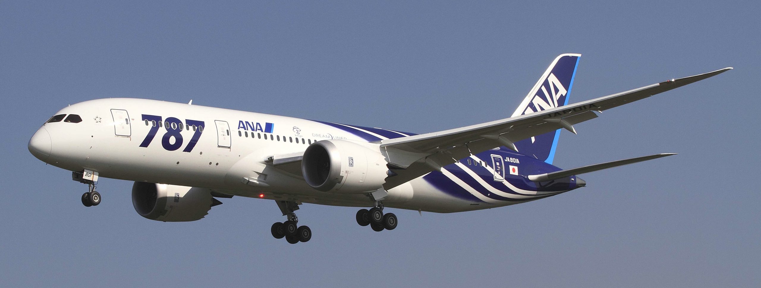 A photograph of an airplane mid-flight on a blue sky background. 787 ANA is written on the fuselage.